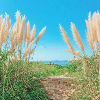 b体育官方下载入口