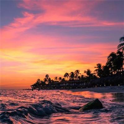 火狐体育APP体育手机app下载