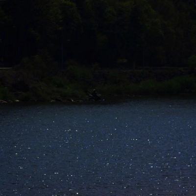 电玩舞会森林手机app下载