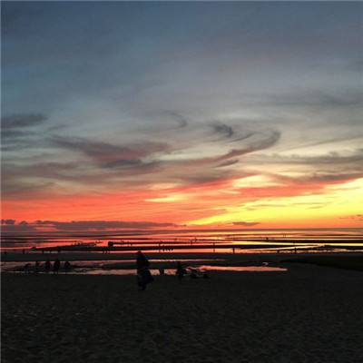 乐鱼官方手机app下载