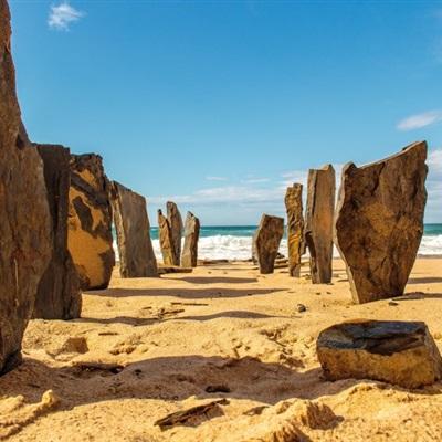 开云体云app手机app下载