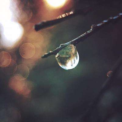 NG28加拿大软件下载