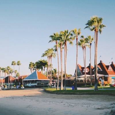 NG28加拿大软件下载