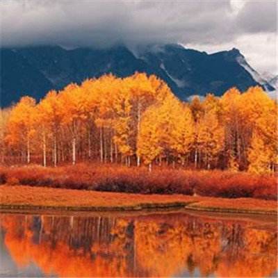 凯时ag旗舰厅-登录入口